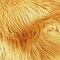 1 Yard Light Gold Faux Fur Fabric 60 Inch Wide Soft Shaggy Material for Interior & DIY Use